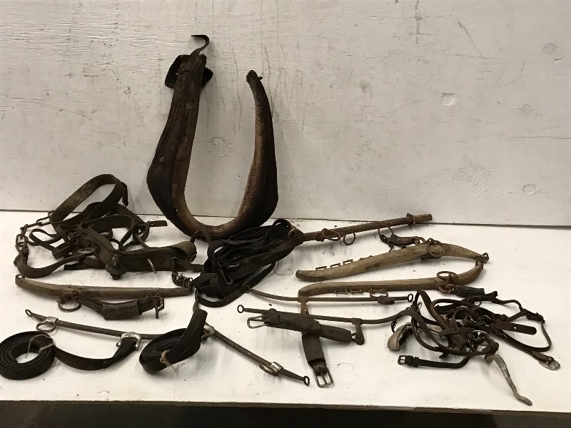 lot 75 image: Box Of Assorted Leather Equestrian Harness & Etc
