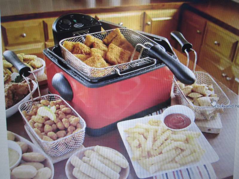lot 8 image: Ginnys Brand Deep Fryer with Timer...