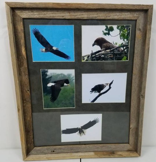 lot 5 image: Rustic Wood Frame Eagle Picture