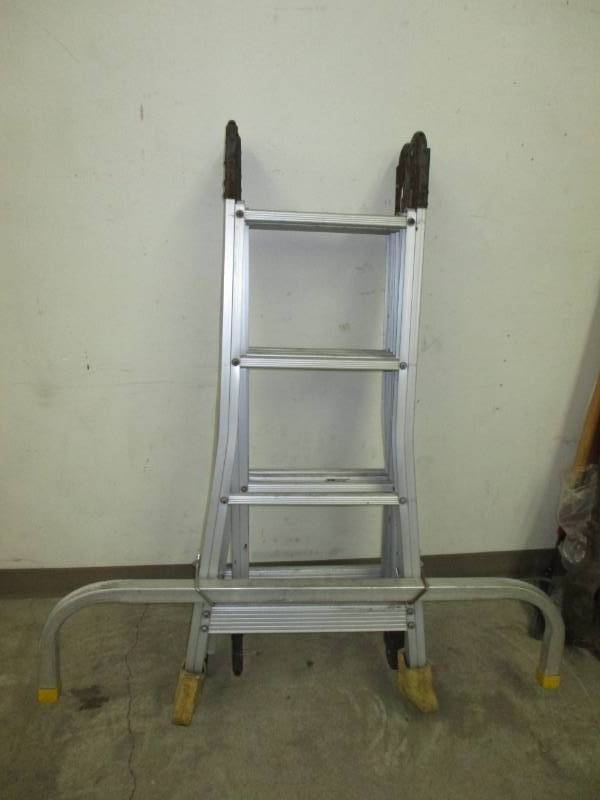 lot 198 image: 225 pound weight ladder
