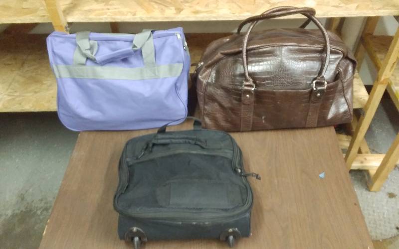 3-Travel Bags