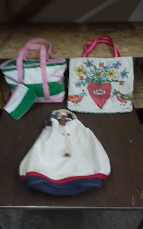 3-Canvas Tote Bags-American Eagle, Brighton, Merona