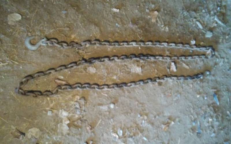 lot 22 image: Assorted Chain