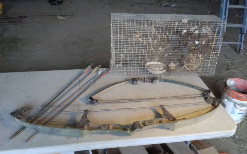 lot 75 image: BEAR Compound Bow, Other Youth Bow, Some Arrows & Rabbit Cage