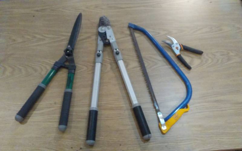 lot 126 image: Brush Saw, Pruners, HedgerTrimmer