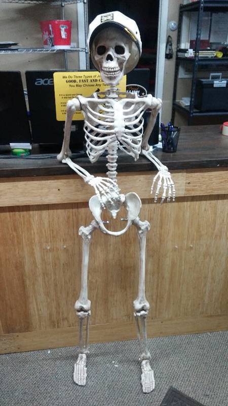 lot 100 image: 5 Standing Skeleton. Includes skippers hat