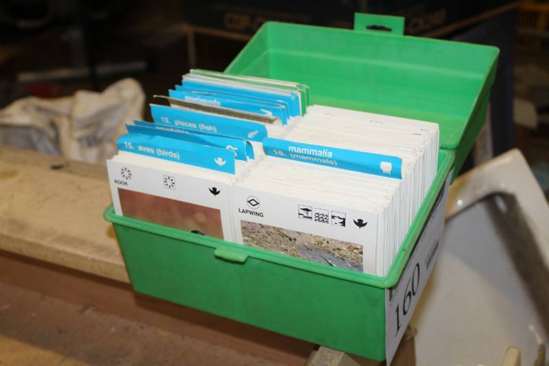 lot 160 image: Illustrated Wildlife Treasury Index Cards with Card Case