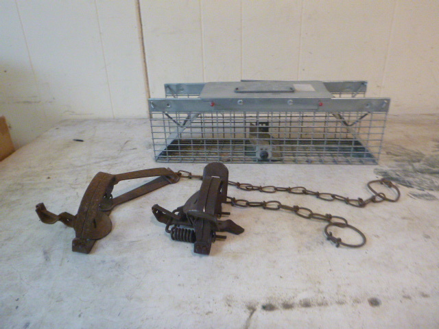 Hunting Traps