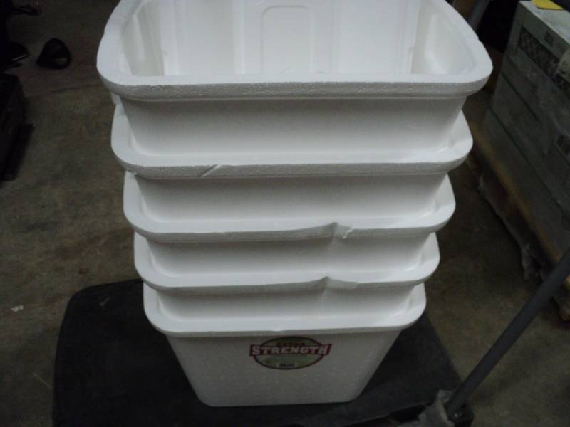 lot 35 image: 5 extra Strength Foam Coolers...