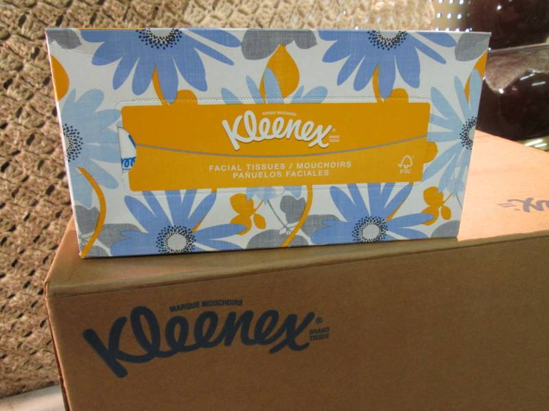 Case of 48 Boxes of Kleenex Facial ...