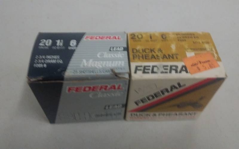 2-Boxes Of 25 Each 20 Gauge Shotgun Shells As Shown