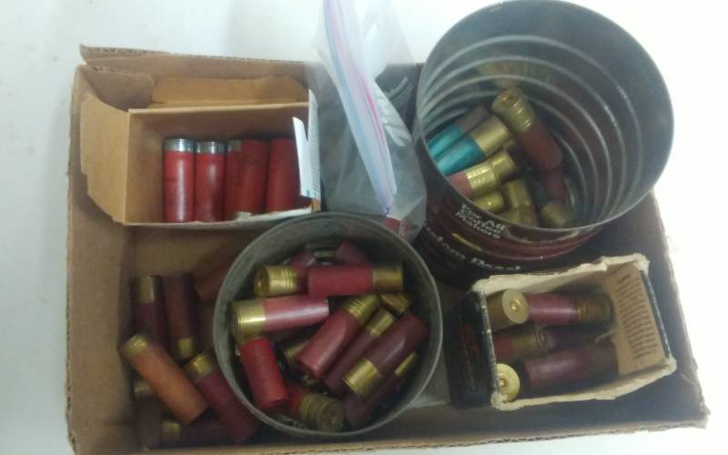 Assorted 12 Gauge Shot Gun Shells