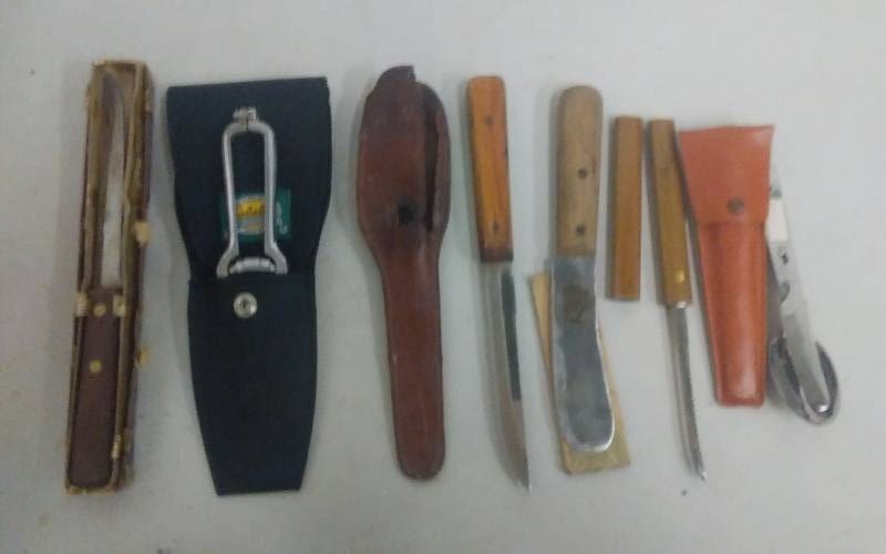 Lot Of Assorted Hunting & Fillet Knives