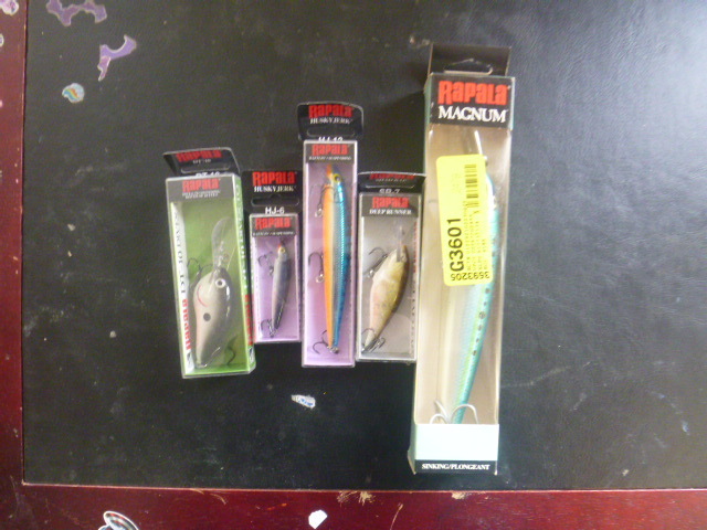 5 Rapala Hard Baits
