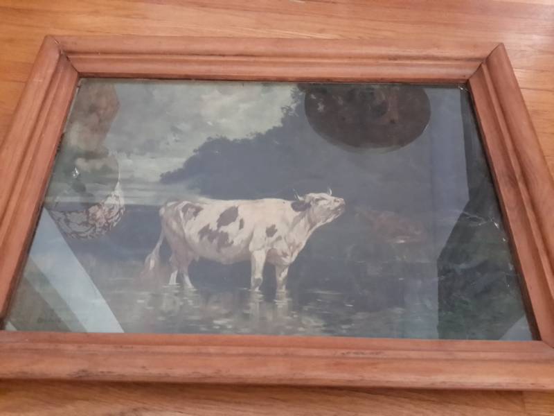 lot 116 image: Edward G. Sieber Picture of 2 Cows in Water