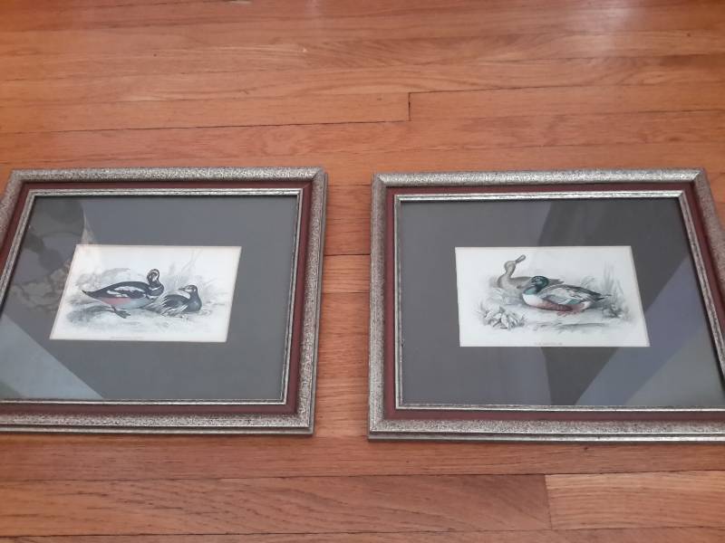 lot 117 image: 2 Smaller Lizars SC Pictures, The Harlequin Garrot The Shoveller