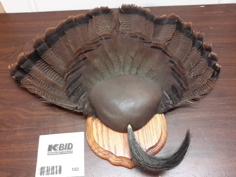 lot 122 image: Turkey Tail Fan with Beard