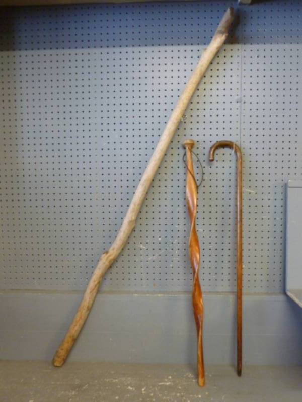 Walking Sticks