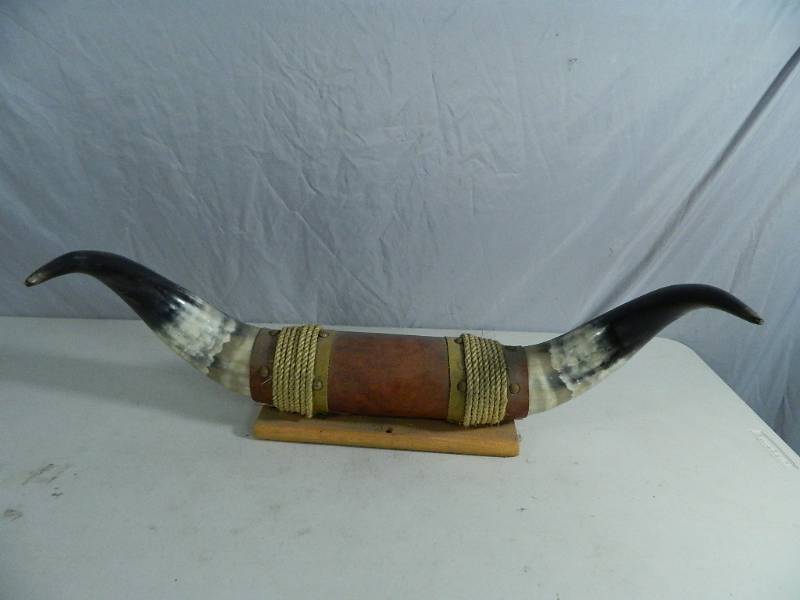 lot 77 image: 2 ft Set of Steer Horns