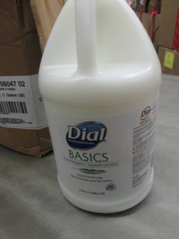 Case of 4 Gallons Dial Basics Hand ...