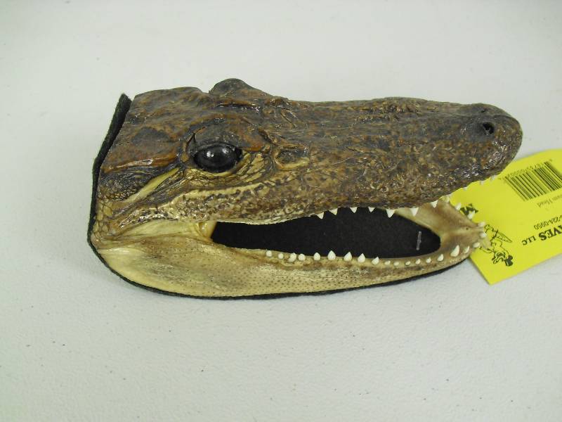lot 5 image: Small Authentic Alligator Head