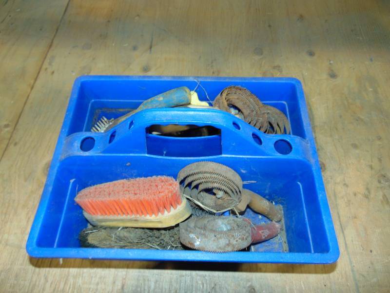 Tray With Animal Brushes