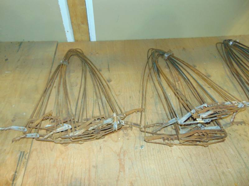 Lot of Pelt Stretchers