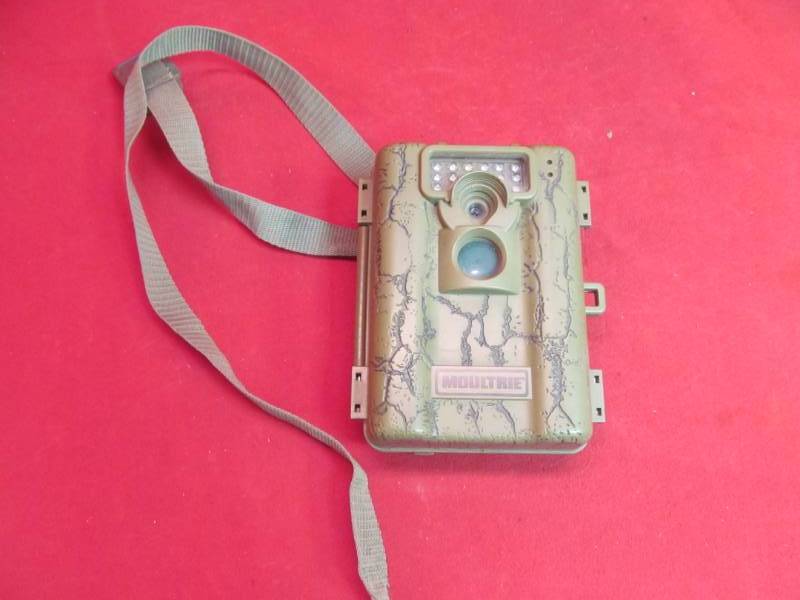 lot 17 image: game camera