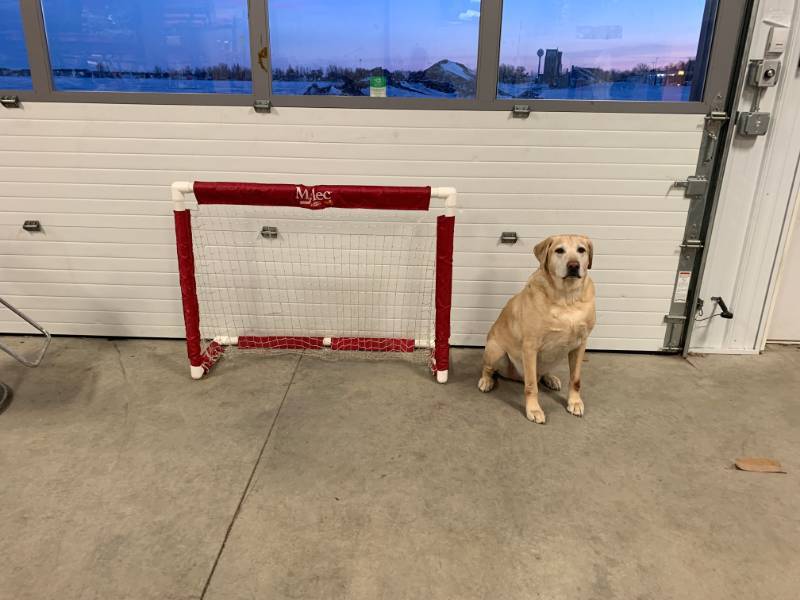 lot 108 image: Hockey Net