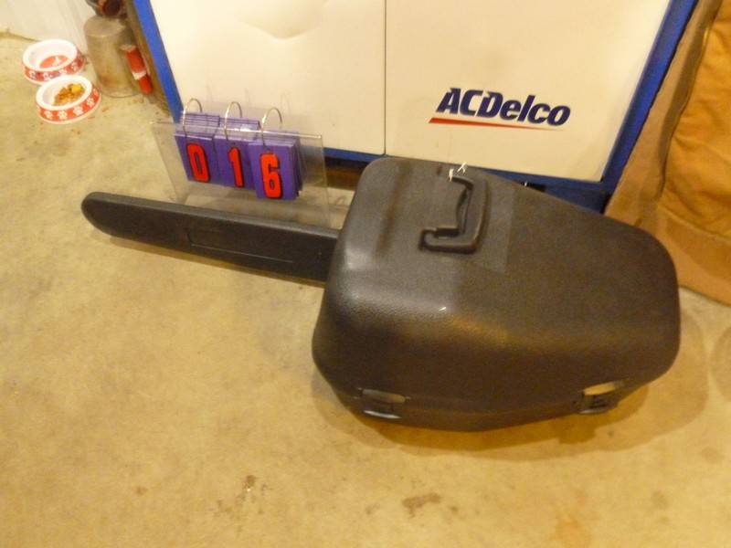 SnS Auctions # 355 Arctic Blast
