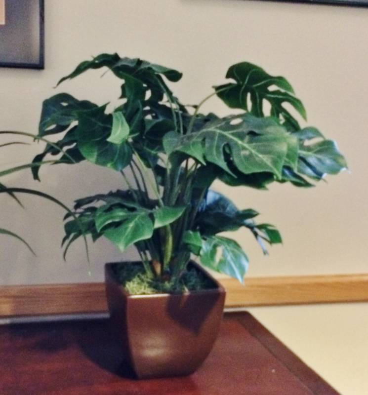 lot 8 image: Pair Of Office Decor Artificial Plants In Pots - Great Condition