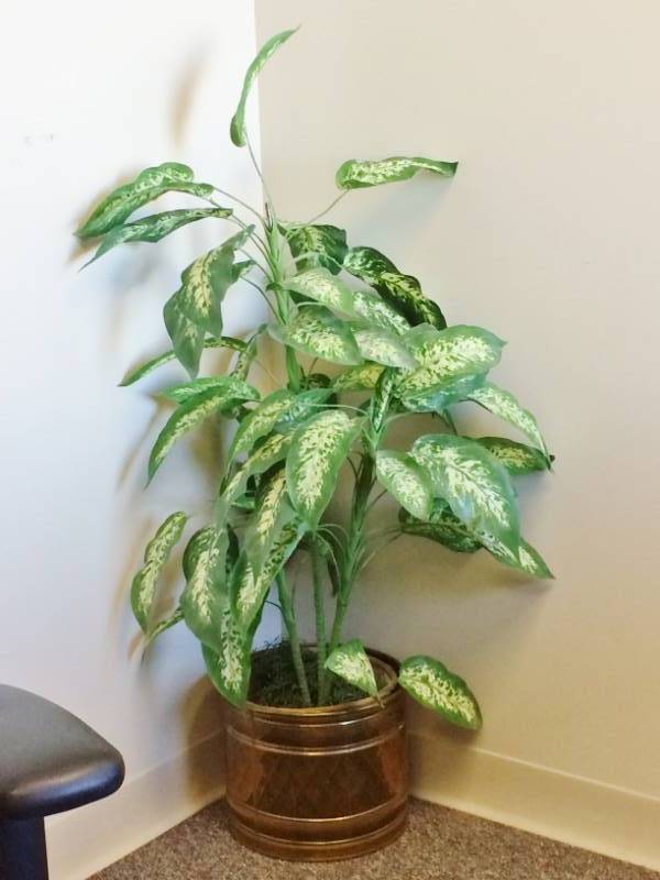 lot 71 image: Large Office Or Home Decor Fern Artificial Plant With Large Brass Planter Base - Excellent Condition