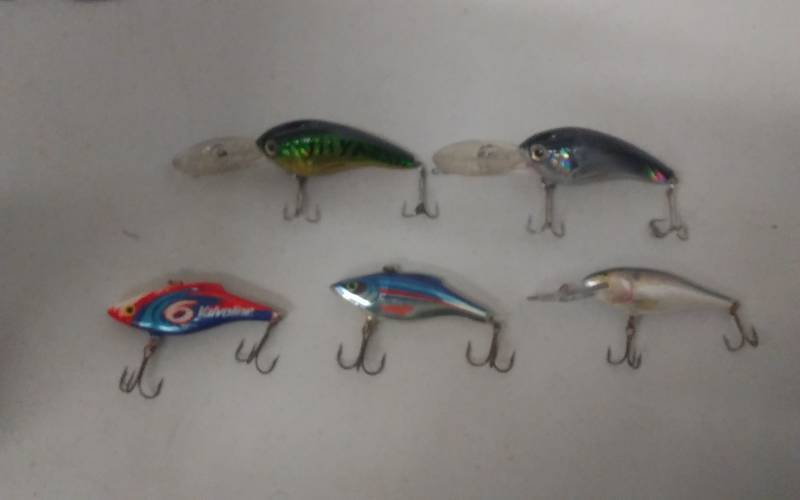 lot 8 image: 5-Rapala & 1-Other Lure