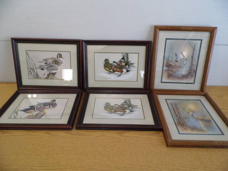 Wildlife Art