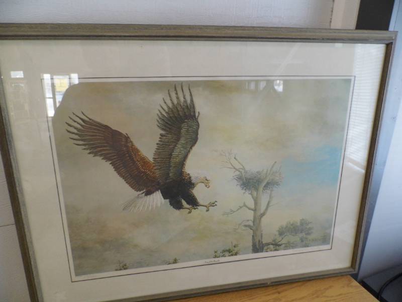 King of the Republic Framed Print
