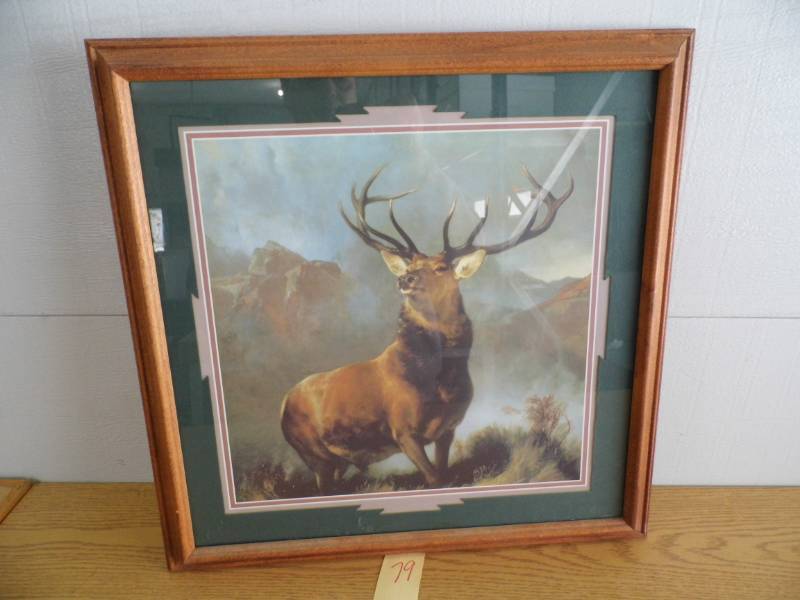 Monarch of the Glen