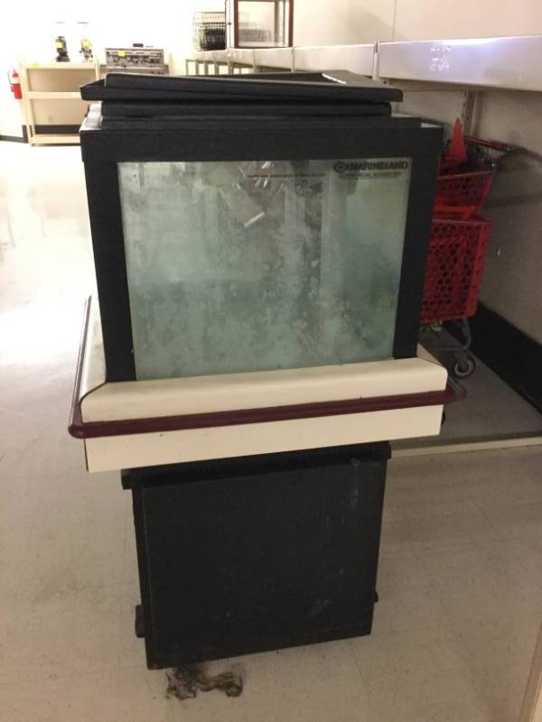 lot 226 image: Commercial Aquarium