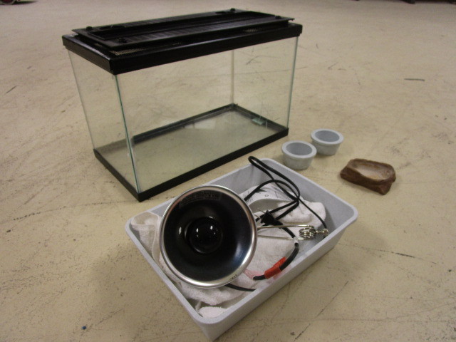 lot 137 image: TERRARIUM W GLOW LIGHT