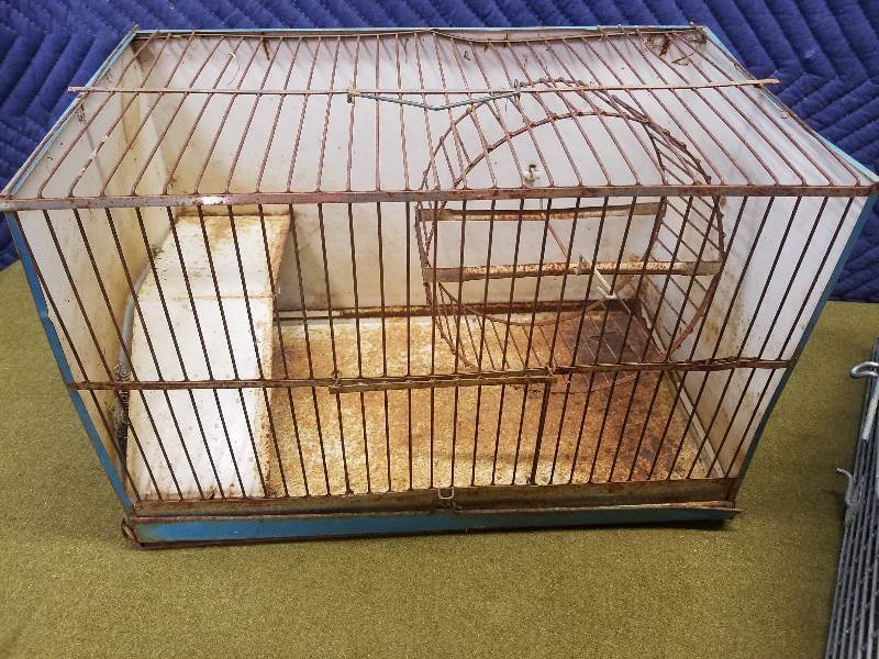 Cage and Trap