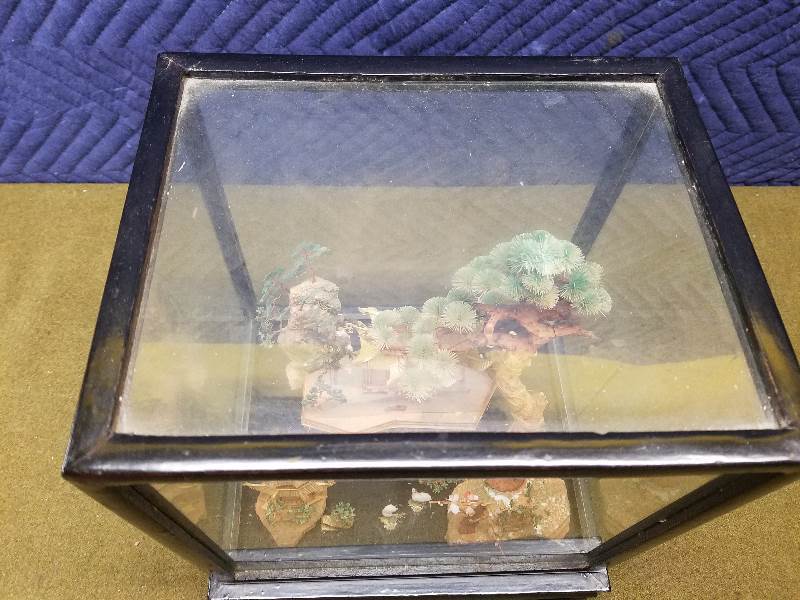 Glass Show Box