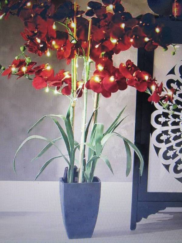 lot 115 image: 36 Lighted Phalaenopsis Orchid ope...