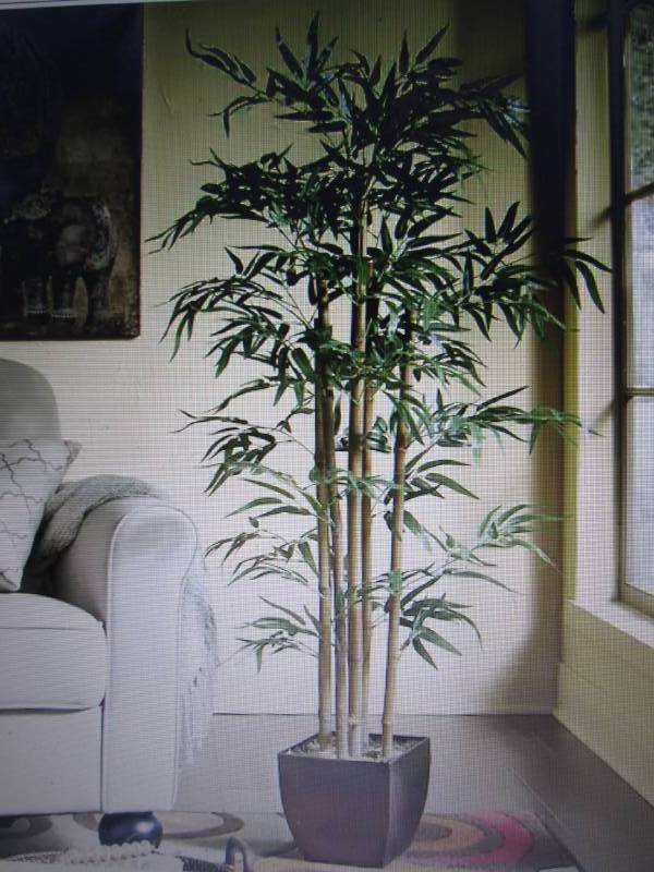 lot 192 image: Bamboo Tree open box Retail $79.99 ...