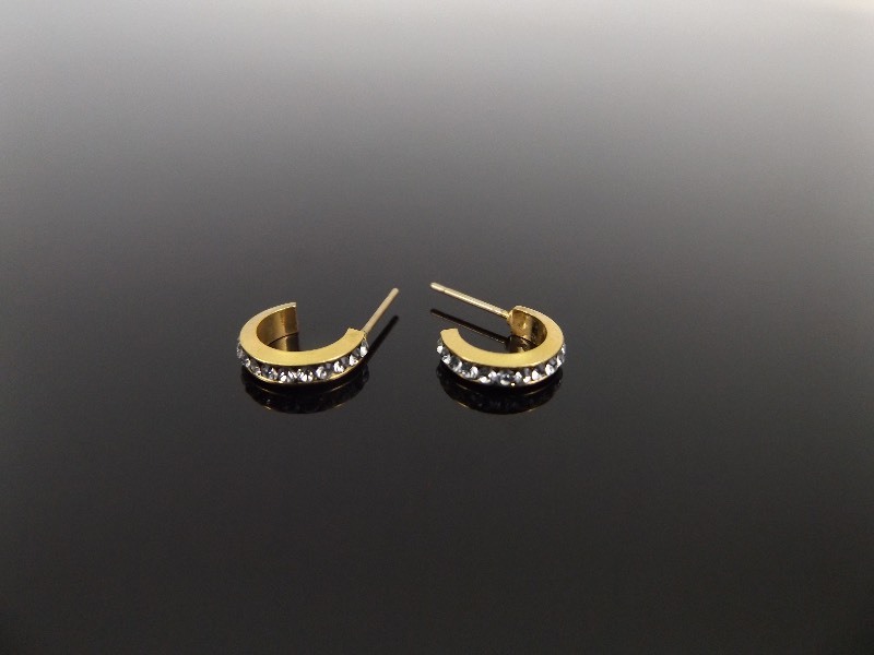 lot 37 image: 14k Yellow Gold .3 ct tw Diamond Hoop Earrings