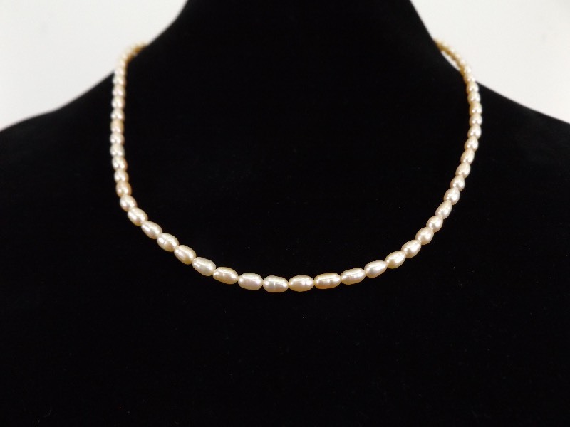lot 46 image: 21 Fresh Water Pearl Necklace