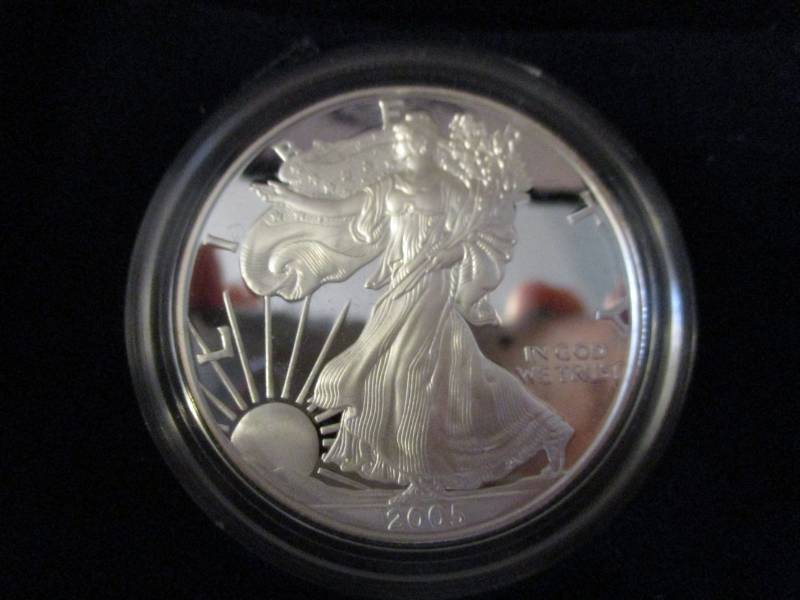 lot 219 image: 2005 W American Silver Eagle Proof