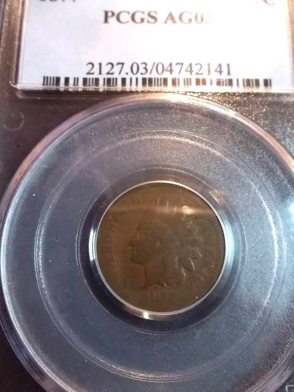 1877 Indian Head Cent