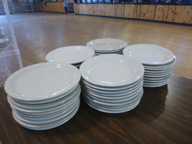 lot 14 image: 50 White Dinner Plates