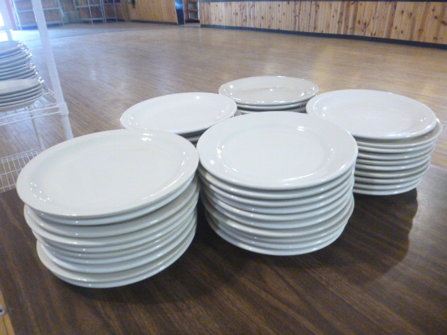 lot 16 image: 50 White Dinner Plates