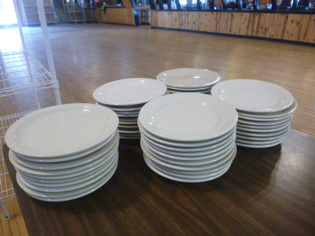 lot 18 image: 50 White Dinner Plates