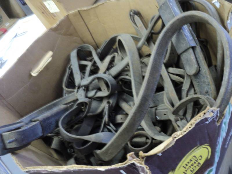Horse Supplies...